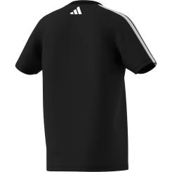 Codes Colleg Tee Kinder 