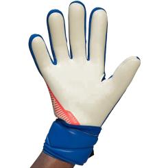 Predator League Torwarthandschuhe 