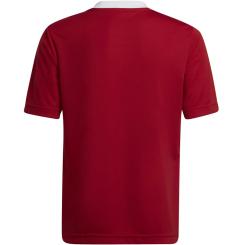 Entrada 22 Trikot Kinder 