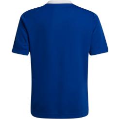 Entrada 22 Trikot Kinder 