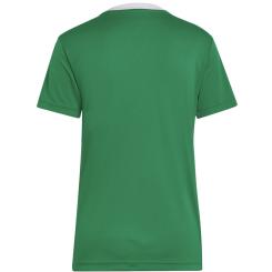 Entrada 22 Trikot Damen 