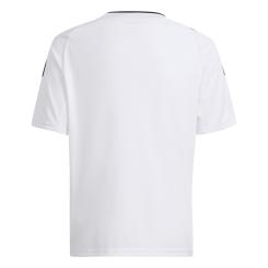 Campeon 23 Trikot Kinder 