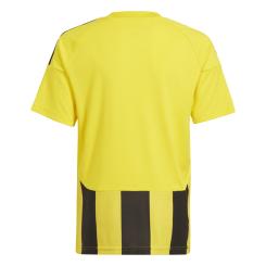 Striped 24 Trikot Kinder 