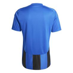 Striped 24 Trikot 