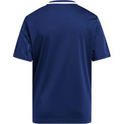 Campeon 25 Trikot Kinder 