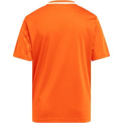 Campeon 25 Trikot Kinder 