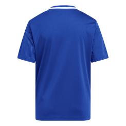 Campeon 25 Trikot Kinder 