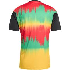 Jamaika 26 Aufwärmtrikot