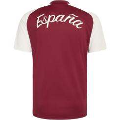 Spanien 26 Aufwärmtrikot Auswärts
