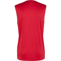 Entrada 26 Trikot Ärmellos