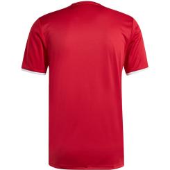 Entrada 26 Grafik Trikot