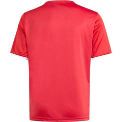 Entrada 26 Grafik Trikot Kinder