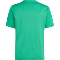 Entrada 26 Grafik Trikot Kinder