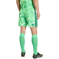 TIRO26 Torwartshorts Competition