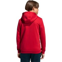 Entrada 26 Full Zip Hoodie Kinder