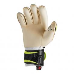 Torwarthandschuh Aps Evolution Pro 