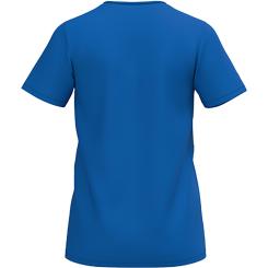 Intro Shirt Funktion