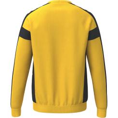 CMPT 3 Wings Sweatshirt Kinder 