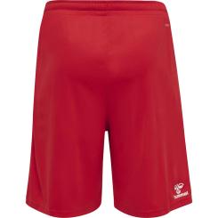 CORE XK Basket Short 
