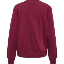 te Element Sweatshirt Damen 