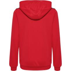 Authentic Pl Hoodie Kinder 