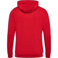 Authentic Pl Zip Hoodie  