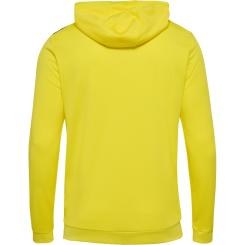 Authentic Pl Zip Hoodie  