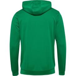 Authentic Pl Zip Hoodie  