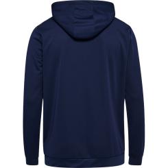 Authentic Pl Zip Hoodie  