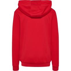 Authentic Pl Zip Hoodie Kinder 
