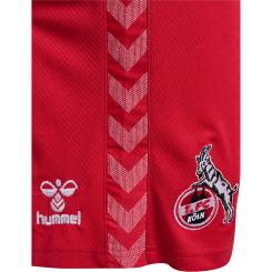 1.FC Köln Auswärts Short 23/24 