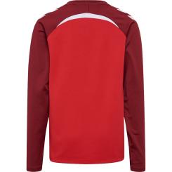 Lead 2.0 Crew Sweat Kinder 