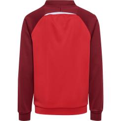 Lead 2.0 Track Zipjacke Kinder 