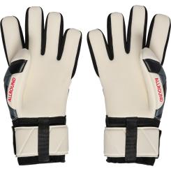 Gloves Allround Grip Torwarthandschuhe 