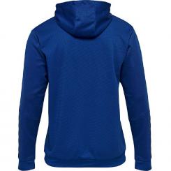 Authentic Poly Hoody Kinder 