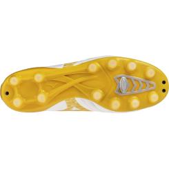 Morelia Neo IV Pro 