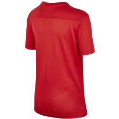 Park VII Trikot Kinder 