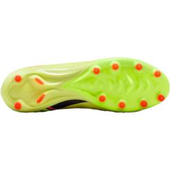 ZM VAPOR 16 PRO AG-PRO 