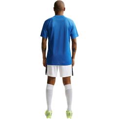 Dri-FIT Park VIII Trikot