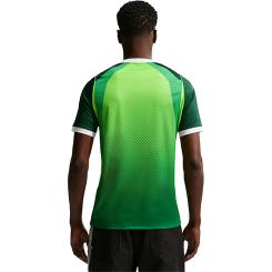 Nigerien 26 Dri-Fit Stadium Heimtrikot