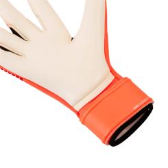 FUTURE Pro SGC Torwarthandschuhe 