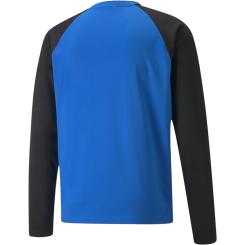 teamliga Training Sweat  