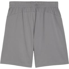 teamFINAL Trainingsshort 