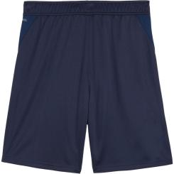 Teamgoal Training Short 