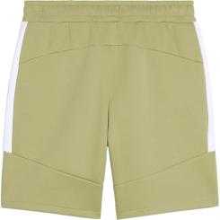 teamEVOSTRIPE Shorts 