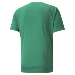 TeamLIGA Striped Performance Trikot  