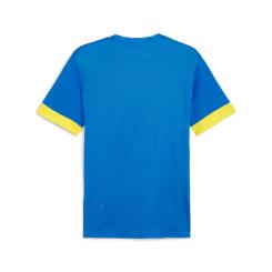 TeamGOAL Matchday  Trikot 