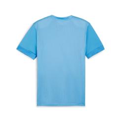 TeamGOAL Matchday  Trikot 