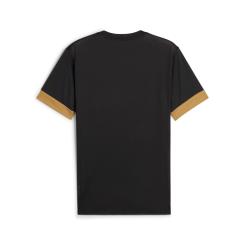 TeamGOAL Matchday  Trikot 