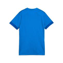 TeamGOAL Matchday Trikot Damen 